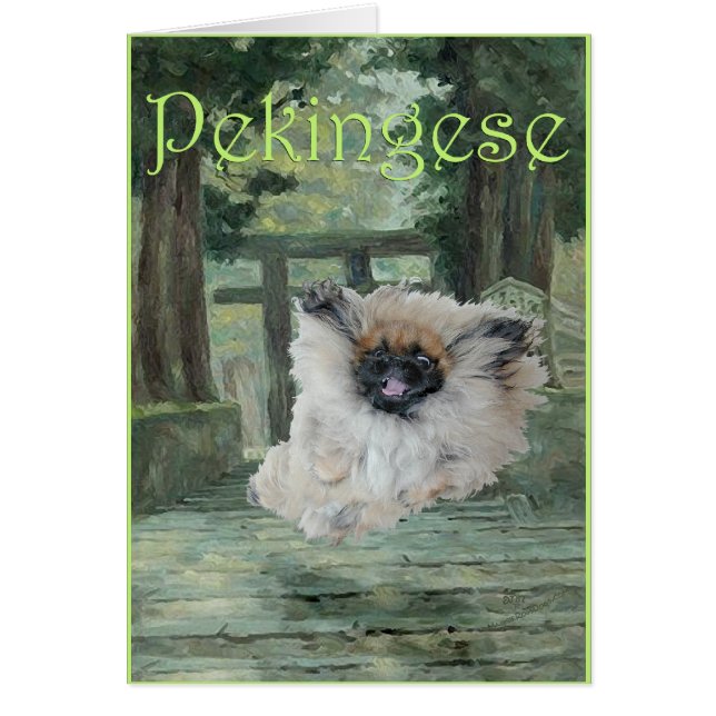 Pekingeser Hund Orientalisk Port Hälsningskort (Framsidan)