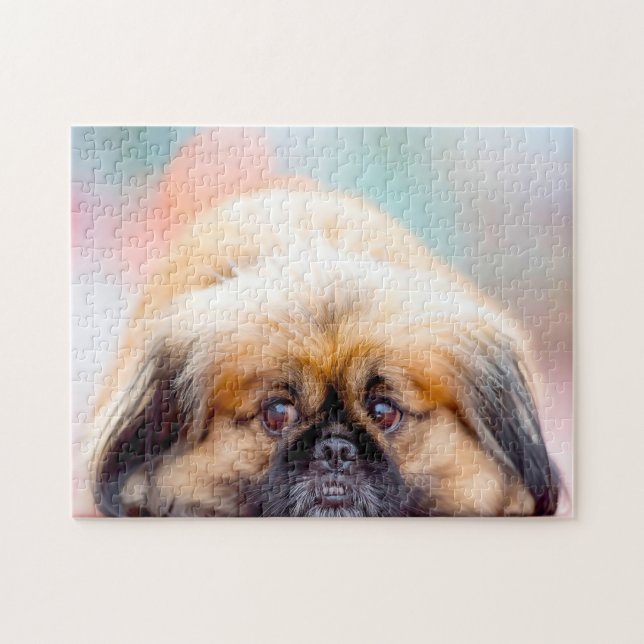 Pekingeser Hund. Pussel (Horisontell)
