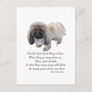 Pekingeser Hund Regnbågsbron Vykort