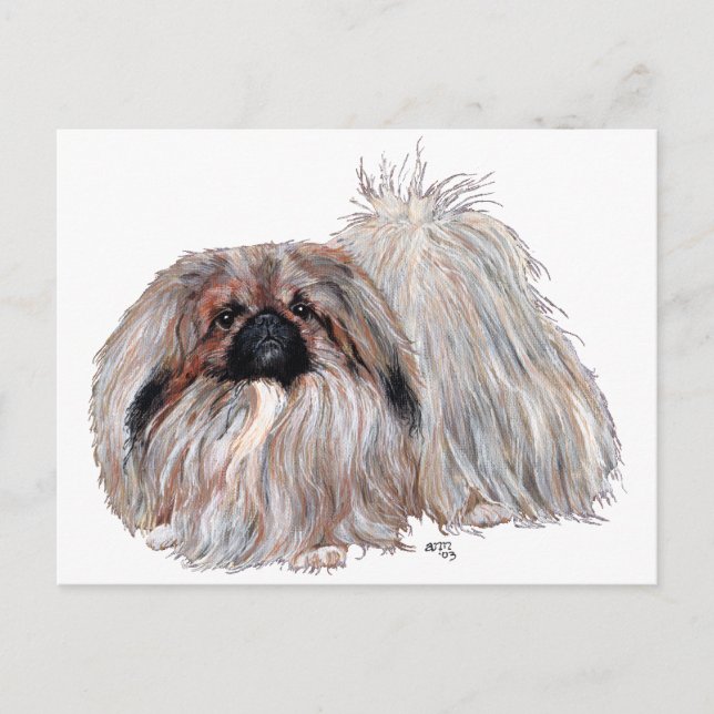 Pekingeser Hund Stående Vykort (Framsida)