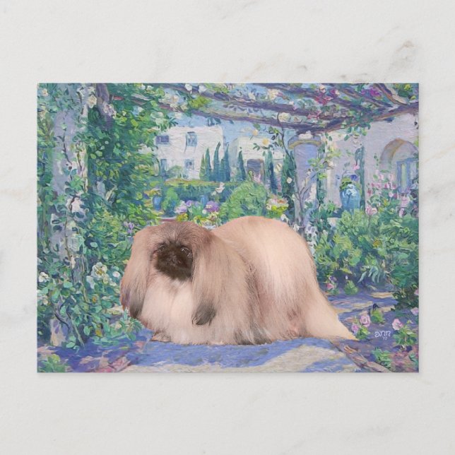 Pekingeser i blomsterträdgård vykort (Framsida)