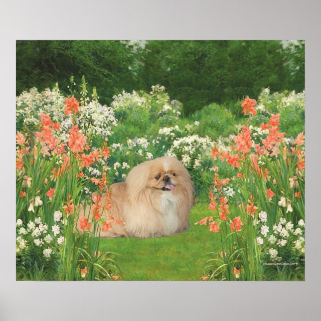 Pekingeser i en trädgård poster (Framsidan)