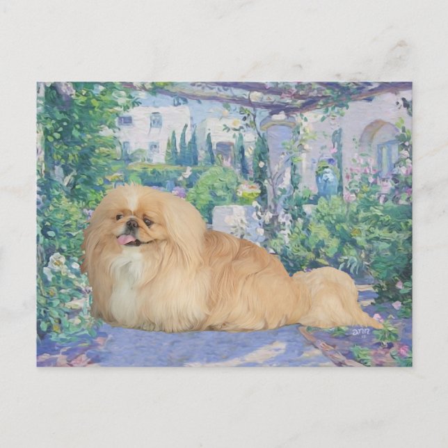 Pekingeser i Lavendel Vykort (Framsida)