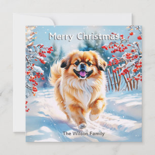 Pekingeser i snö God Jul Julkort