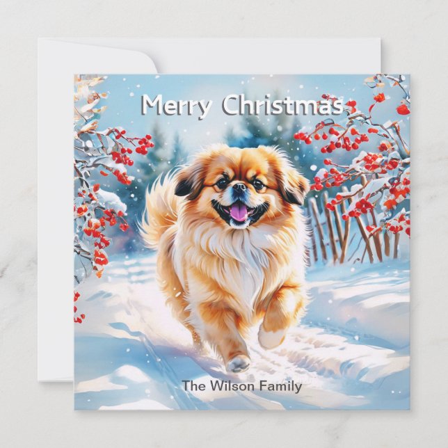 Pekingeser i snö God Jul Julkort (Framsida)