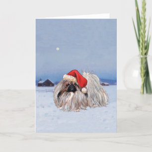 Pekingeser Julhälsningskort Helgkort
