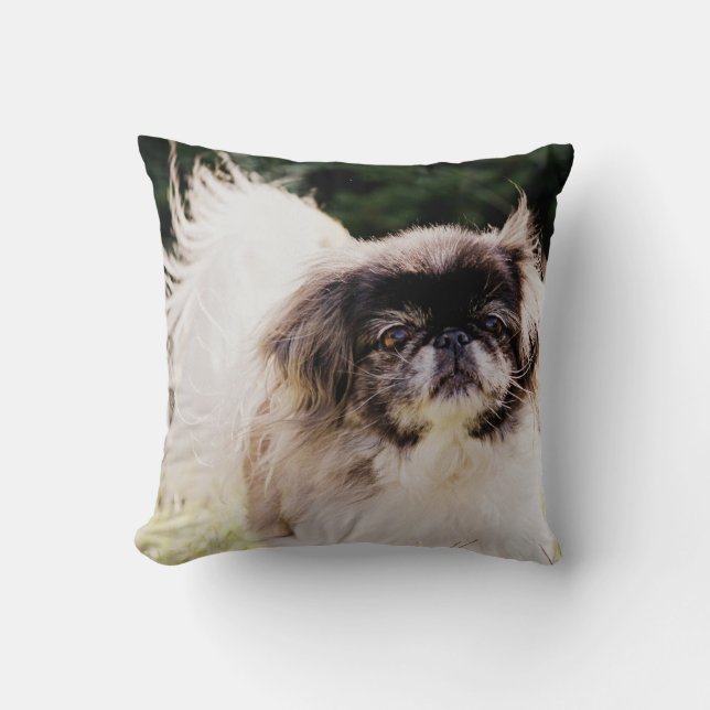 Pekingeser Kastkudde Kudde (Framsida)