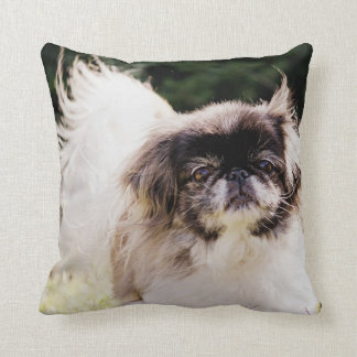 Pekingeser Kastkudde Kudde