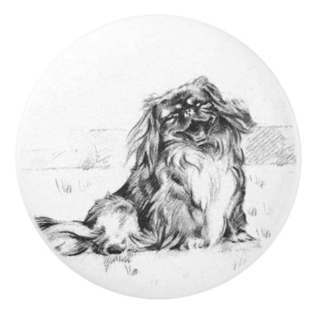 Pekingeser Knopp (Framsidan)