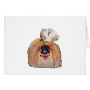 Pekingeser kock - man hälsningskort