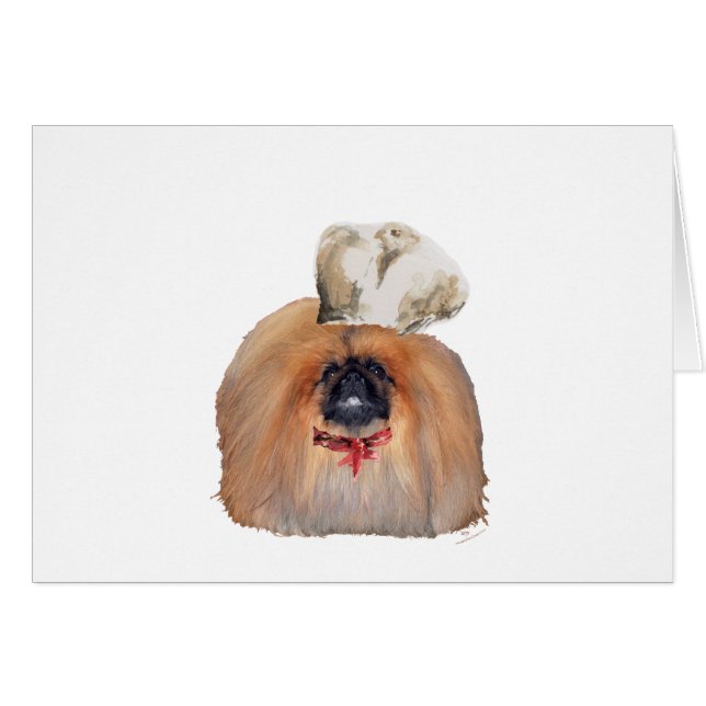Pekingeser kock - man hälsningskort (Framsidan Horizontal)