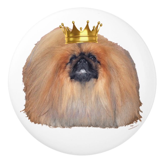 Pekingeser Kung Knopp (Framsidan)