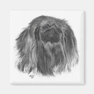 Pekingeser Magnet