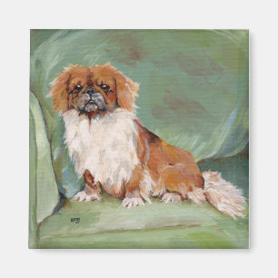 Pekingeser Magnet