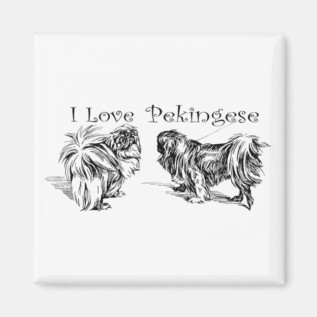 Pekingeser Magnet (Framsidan)