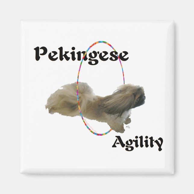 Pekingeser Magnet (Framsidan)