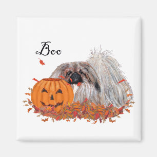 Pekingeser Magnet