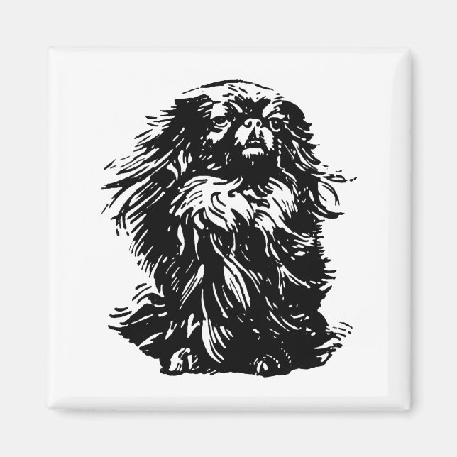 Pekingeser med värdighet magnet (Framsidan)