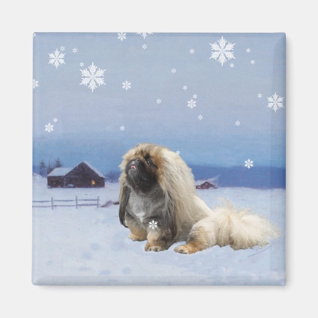 Pekingeser på vintern magnet (Framsidan)