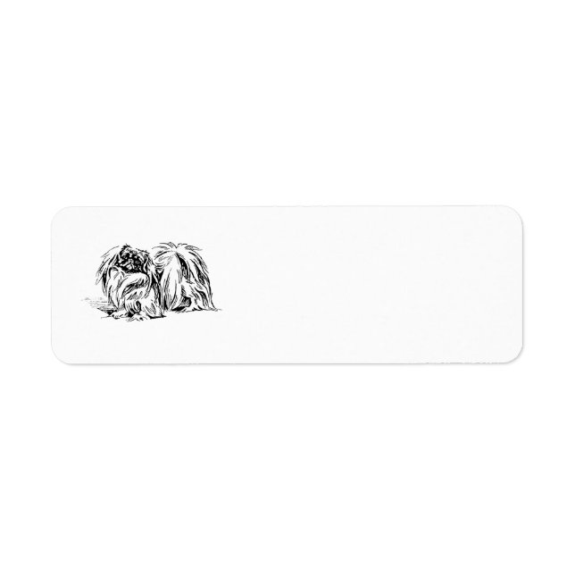 Pekingeser Returadressetiketter Returadress Etikett (Framsidan)