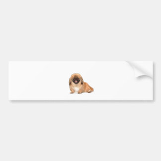 Pekingeser (röd, svart mask #1) bildekal