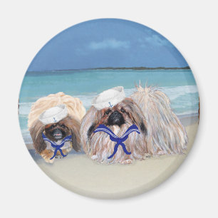 Pekingeser sjömän magnet