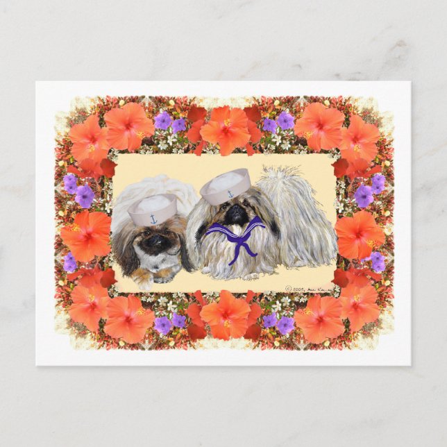 Pekingeser sjömän vykort (Framsida)