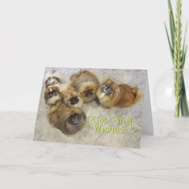 Pekingeser Snart Frisk Kort (Framsida)