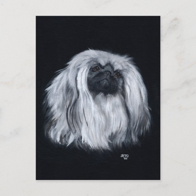 Pekingeser Svart & Vitt Vykort (Framsida)