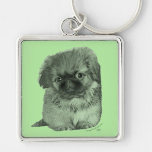 Pekingeser Valp Grön Fyrkantig Silverfärgad Nyckelring