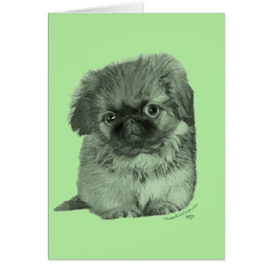 Pekingeser Valp Grön Hälsningskort