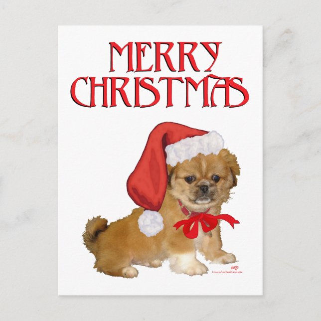 Pekingeser Valp Jul Helg Vykort (Framsida)
