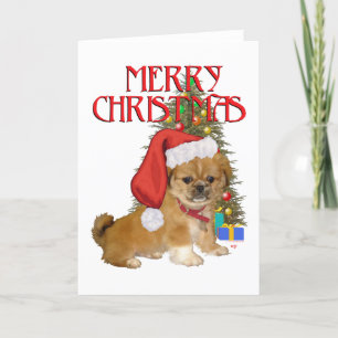 Pekingeser Valp Jul Helgkort