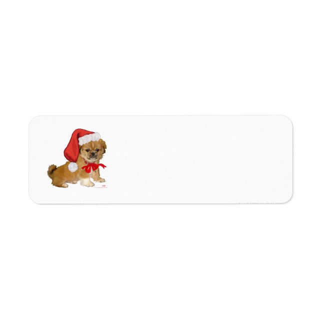Pekingeser Valp Jul Returadress Etikett (Framsidan)