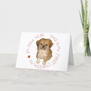 Pekingeser Valpens Första Jul Helgkort