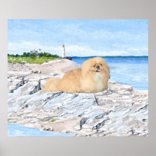 Pekingeser vid fyren poster