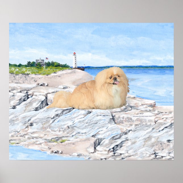 Pekingeser vid fyren poster (Framsidan)