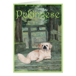 Pekingeser vid Oriental Gateway Hälsningskort