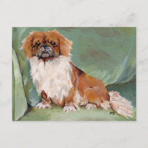Pekingeser vykort