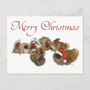 Pekingesergrupp firar jul helg vykort