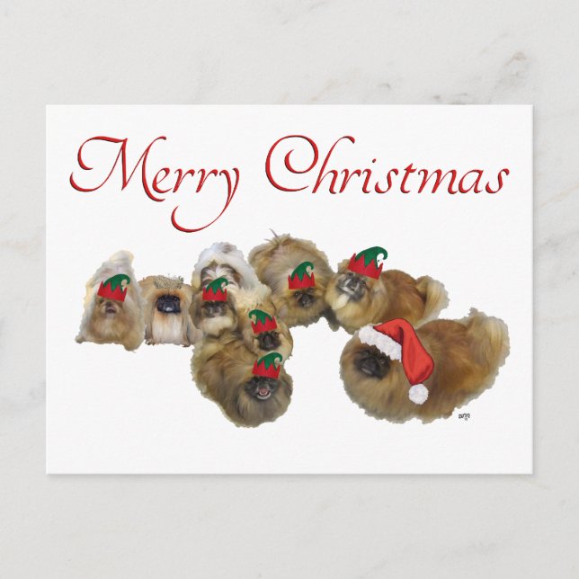 Pekingesergrupp firar jul helg vykort (Framsida)