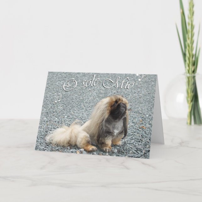 Pekingeseröding Kort (Framsida)