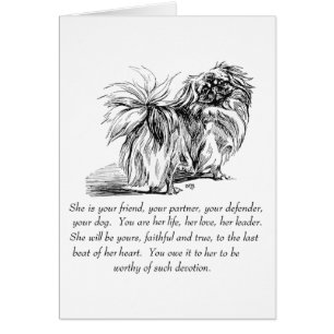 Pekingeseröding kort