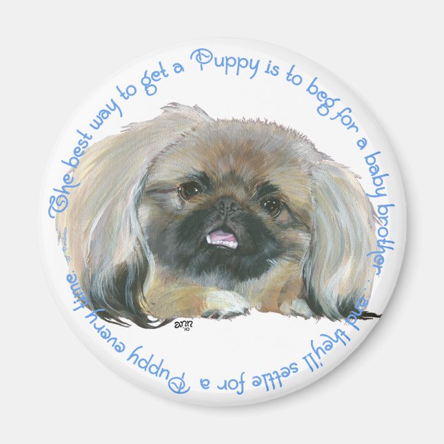Pekingeserörelse - Hur man får en valp Magnet (Framsidan)
