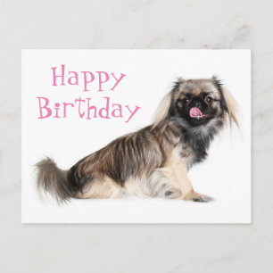 Pekingeserosa Glad födelsedag Valp Hund Vykort