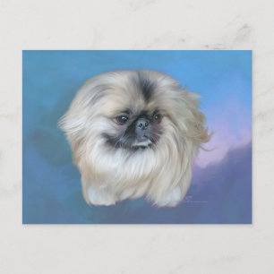 Pekingeseröslilja på blå bakgrund vykort