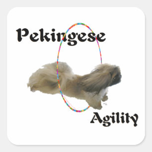 Pekingeserushållning Fyrkantigt Klistermärke