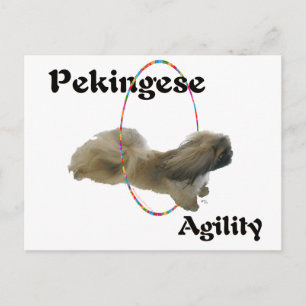 Pekingeserushållning Vykort