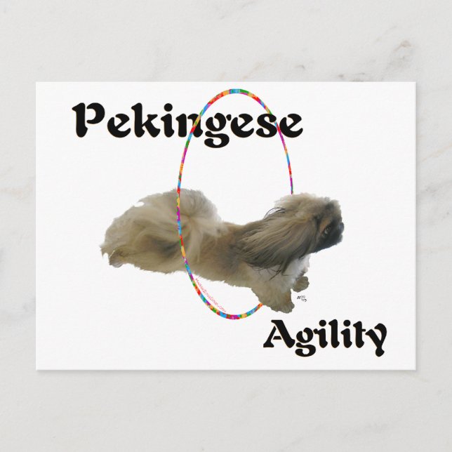 Pekingeserushållning Vykort (Framsida)