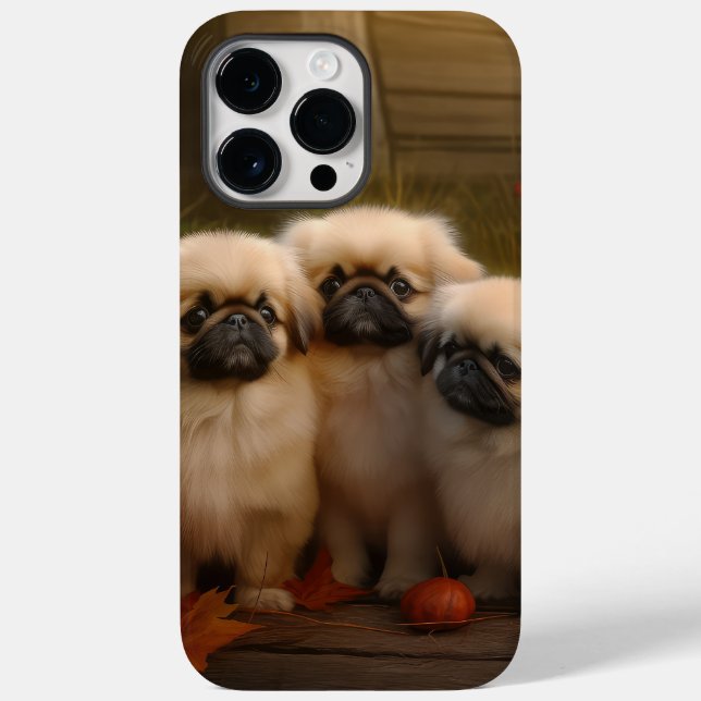 Pekingeservalp Höstglädje Pumpa  (Baksida)